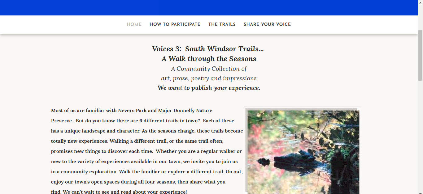 Tonsha Website Design for South Windsor Voices